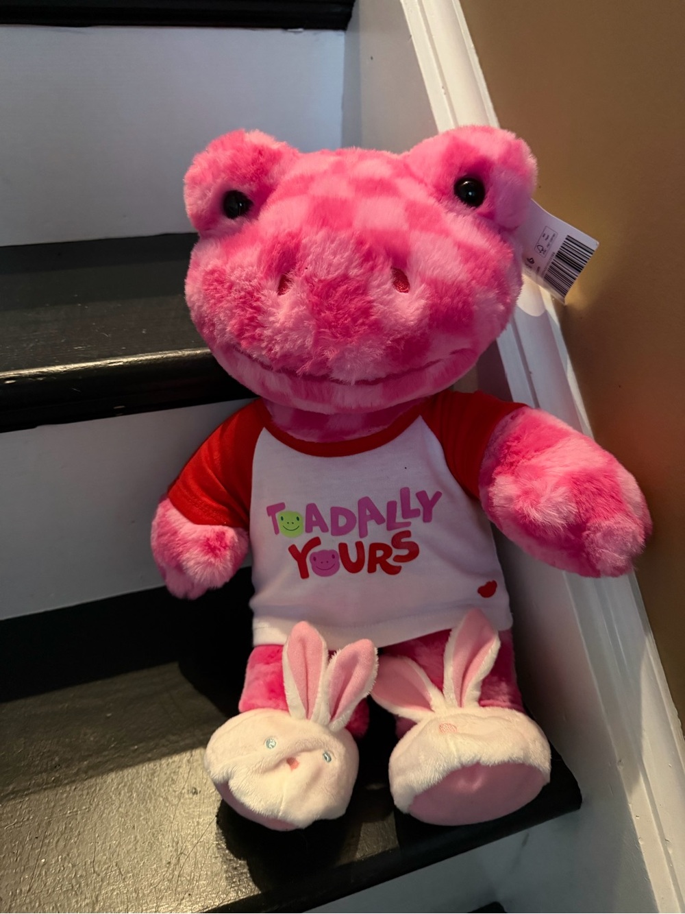 Build-A-Bear Pink checkered frog with outfit